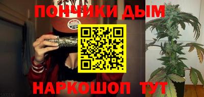 сатива Ставрополь