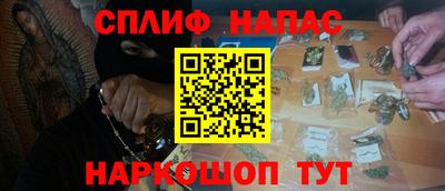 сатива Ставрополь