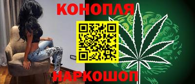 сатива Ставрополь