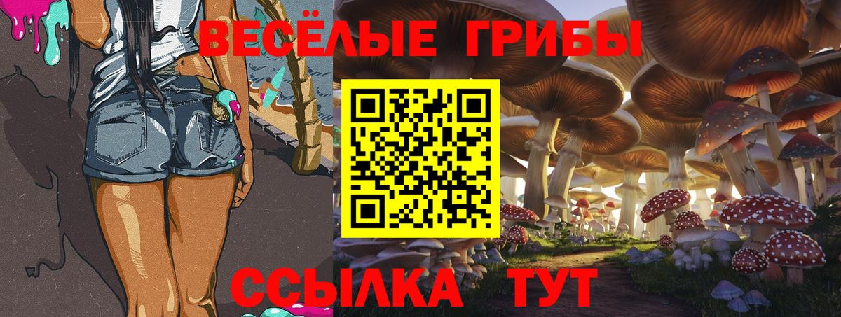 Новоуральск  МЕТ  ГАШИШ  Вход с VPN  Где купить наркотики?  Каннабис  NBOMe  Мефедрон   MDMA 